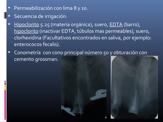  Permeabilización con lima 8 y 10.
 Secuencia de irrigación:
 Hipoclorito 5.25 (materia orgánica), suero, EDTA (barro),
hipoclorito (inactivar EDTA, túbulos mas permeables), suero,
clorhexidina (Facultativos encontrados en saliva, por ejemplo:
enterococos fecalis).
 Conometría con cono principal número 50 y obturación con
cemento grossman.
 