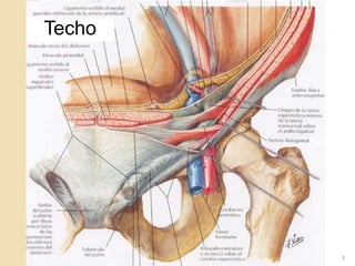 Techo
8
 