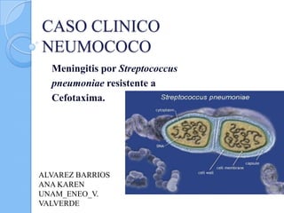 CASO CLINICO
NEUMOCOCO
  Meningitis por Streptococcus
  pneumoniae resistente a
  Cefotaxima.




ALVAREZ BARRIOS
ANA KAREN
UNAM_ENEO_V.
VALVERDE
 