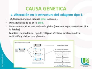 CAUSA GENETICA
2. Alteración en la estructura del colágeno tipo 1.
• Mutaciones originan cadenas proα₁ anómalas.
• O sustituciones de aa en la proα₁
• Generalmente, el aa sustituido es la glicina (neutro) x aspartato (acido). (III Y
IV letales)
• Fenotipos dependen del tipo de colágeno afectado, localización de la
sustitución y el el aa reemplazante.
 
