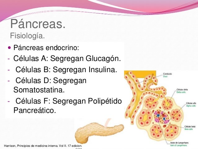 pancreatitis aguda + caso clinico pancreatitis aguda + caso clinico
