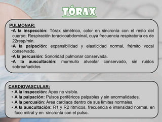 PULMONAR:
•A la inspección: Tórax simétrico, color en sincronía con el resto del
cuerpo; Respiración toracicoabdominal, cuya frecuencia respiratoria es de
22resp/min.
•A la palpación: expansibilidad y elasticidad normal, frémito vocal
conservado.
•A la percusión: Sonoridad pulmonar conservada.
•A la auscultación: murmullo alveolar conservado, sin ruidos
sobreañadidos

CARDIOVASCULAR:
• A la inspección: Ápex no visible.
• A la palpación: Pulsos periféricos palpables y sin anormalidades.
• A la percusión: Área cardiaca dentro de sus límites normales.
• A la auscultación: R1 y R2 ritmicos, frecuencia e intensidad normal, en
foco mitral y en sincronía con el pulso.

 