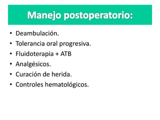 • Deambulación.
• Tolerancia oral progresiva.
• Fluidoterapia + ATB
• Analgésicos.
• Curación de herida.
• Controles hematológicos.
 