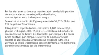 Por los derrames articulares manifestados, se decidió punción
de ambas caderas; se extrajo líquidoarticular,
macroscópicamente turbio y con sangre.
Se realizó un estudio citológico que reportó 55,532 células con
93% de polimorfonucleares.
Citoquímico: aspecto turbio, eritrocitos 1,800 miles cel/μL,
glucosa <10 mg/dL, DHL 16,425 U/L, colesterol 63 md/dL. Se
realizó tinción de Gram: 2-3 leucocitos por campo y 3-5 cocos
Gram positivos por campo. El cultivo de líquido articular
reportó al séptimo día Streptococcus pyogenes (CIM ≤ 0.5
µg/mL); se inició tratamiento con clindamicina a 40 mg/kg/día
durante tres semanas por vía intravenosa
 