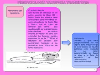 Al momento del
nacimiento
El epitelio alveolar
que durante el embarazo es un
activo secretor de Cloro (Cl) y
líquido hacia los alveolos tiene
que cambiar para convertirse en
activo absorbedor de Sodio (Na)
y líquido con el objeto de
remover este último, está
condicionado por la presencia de
catecolaminas secretadas
durante el trabajo de parto que
estimulan los famosos canales
epiteliales de Na, la TTRN es el
resultado de alveolos que
permanecen húmedos al no
producirse esta absorción de
forma adecuada.
El epitelio alveolar
que durante el embarazo es un
activo secretor de Cloro (Cl) y
líquido hacia los alveolos tiene
que cambiar para convertirse en
activo absorbedor de Sodio (Na)
y líquido con el objeto de
remover este último, está
condicionado por la presencia de
catecolaminas secretadas
durante el trabajo de parto que
estimulan los famosos canales
epiteliales de Na, la TTRN es el
resultado de alveolos que
permanecen húmedos al no
producirse esta absorción de
forma adecuada.
Nacimiento,
Cesárea o que nace
precipitadamente por vía
vaginal tiene mayor riesgo
de tener exceso de líquido
pulmonar como resultado
de no haber
experimentado las fases
de labor y la falta de
exposición de las
catecolaminas
mencionadas antes.
Nacimiento,
Cesárea o que nace
precipitadamente por vía
vaginal tiene mayor riesgo
de tener exceso de líquido
pulmonar como resultado
de no haber
experimentado las fases
de labor y la falta de
exposición de las
catecolaminas
mencionadas antes.
6
 