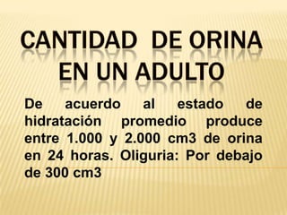 Cantidad  de orina en un adultoDe acuerdo al estado de hidratación promedio produce entre 1.000 y 2.000 cm3 de orina en 24 horas. Oliguria: Por debajo de 300 cm3