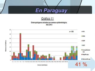 41 %
En ParaguayEn Paraguay
 