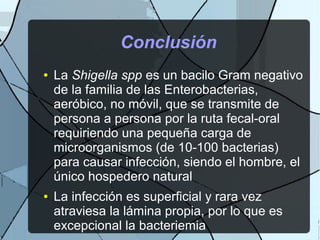 Conclusión
● La Shigella spp es un bacilo Gram negativo
de la familia de las Enterobacterias,
aeróbico, no móvil, que se transmite de
persona a persona por la ruta fecal-oral
requiriendo una pequeña carga de
microorganismos (de 10-100 bacterias)
para causar infección, siendo el hombre, el
único hospedero natural
● La infección es superficial y rara vez
atraviesa la lámina propia, por lo que es
excepcional la bacteriemia
 