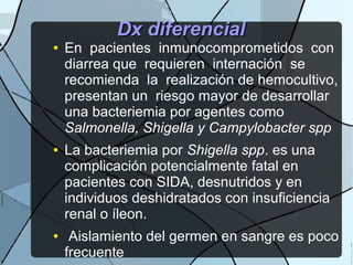 Dx diferencialDx diferencial
● En pacientes inmunocomprometidos con
diarrea que requieren internación se
recomienda la realización de hemocultivo,
presentan un riesgo mayor de desarrollar
una bacteriemia por agentes como
Salmonella, Shigella y Campylobacter spp
● La bacteriemia por Shigella spp. es una
complicación potencialmente fatal en
pacientes con SIDA, desnutridos y en
individuos deshidratados con insuficiencia
renal o íleon.
● Aislamiento del germen en sangre es poco
frecuente
 