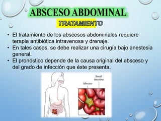 • El tratamiento de los abscesos abdominales requiere
terapia antibiótica intravenosa y drenaje.
• En tales casos, se debe realizar una cirugía bajo anestesia
general.
• El pronóstico depende de la causa original del absceso y
del grado de infección que éste presenta.
 