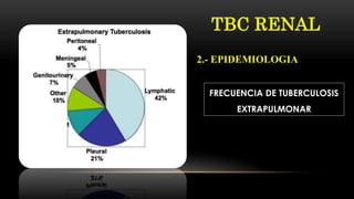 TBC RENAL
FRECUENCIA DE TUBERCULOSIS
EXTRAPULMONAR
2.- EPIDEMIOLOGIA
 