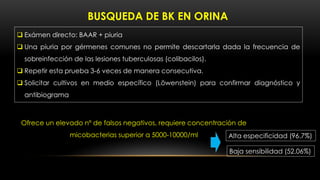  Exámen directo: BAAR + piuria
 Una piuria por gérmenes comunes no permite descartarla dada la frecuencia de
sobreinfección de las lesiones tuberculosas (colibacilos).
 Repetir esta prueba 3-6 veces de manera consecutiva.
 Solicitar cultivos en medio específico (Löwenstein) para confirmar diagnóstico y
antibiograma
BUSQUEDA DE BK EN ORINA
Ofrece un elevado nº de falsos negativos, requiere concentración de
micobacterias superior a 5000-10000/ml Alta especificidad (96.7%)
Baja sensibilidad (52.06%)
 