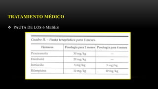 TRATAMIENTO MÉDICO
 PAUTA DE LOS 6 MESES
 