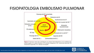 Guía de práctica clínica de la ESC 2014 sobre el diagnóstico y el tratamiento de la embolia pulmonar aguda. Rev Esp Cardio...