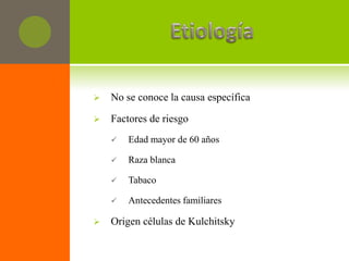    No se conoce la causa específica

   Factores de riesgo
       Edad mayor de 60 años

       Raza blanca

       Tabaco

       Antecedentes familiares

   Origen células de Kulchitsky
 