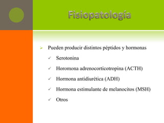    Pueden producir distintos péptidos y hormonas
       Serotonina
       Horomona adrenocorticotropina (ACTH)
       Hormona antidiurética (ADH)
       Hormona estimulante de melanocitos (MSH)
       Otros
 