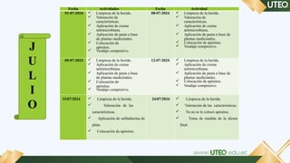 Ulcernic Proceso de Atención de Enfermería en Paciente con Úlcera Varicosa ...