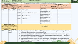 Ulcernic Proceso de Atención de Enfermería en Paciente con Úlcera Varicosa ...