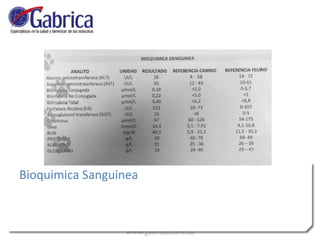 Bioquimica Sanguinea
 