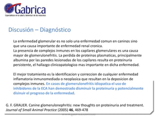 Discusión – Diagnóstico
La enfermedad glomerular es no solo una enfermedad comun en caninos sino
que una causa importante de enfermedad renal cronica.
La presencia de complejos inmunes en los capilares glomerulares es una causa
mayor de glomerulonefritis. La perdida de proteinas plasmaticas, principalmente
albumina por las paredes lesionadas de los capilares resulta en proteinuria
persistente, el hallazgo clinicopatologico mas importante en dicha enfermedad.
El mejor tratamiento es la identificacion y correccion de cualquier enfermedad
inflamatoria inmunomediada o neoplasica que resultan en la deposicion de
complejos inmunes. En casos de glomerulonefritis idiopatica el uso de
inhibidores de la ECA han demostrado disminuir la proteinuria y potencialmente
disinuir el progreso de la enfermedad.
G. F. GRAUER. Canine glomerulonephritis: new thoughts on proteinuria and treatment.
Journal of Small Animal Practice (2005) 46, 469-478
 