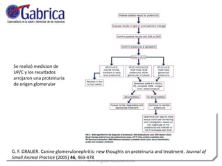G. F. GRAUER. Canine glomerulonephritis: new thoughts on proteinuria and treatment. Journal of
Small Animal Practice (2005) 46, 469-478
Se realizó medicion de
UP/C y los resultados
arrojaron una proteinuria
de origen glomerular
 