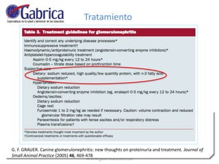 G. F. GRAUER. Canine glomerulonephritis: new thoughts on proteinuria and treatment. Journal of
Small Animal Practice (2005) 46, 469-478
Tratamiento
 