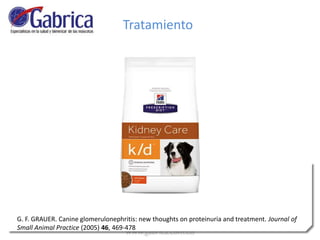 G. F. GRAUER. Canine glomerulonephritis: new thoughts on proteinuria and treatment. Journal of
Small Animal Practice (2005) 46, 469-478
Tratamiento
 