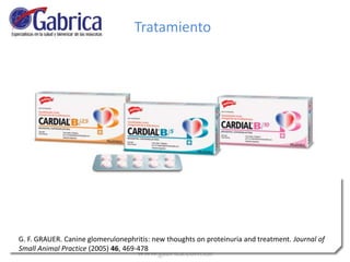G. F. GRAUER. Canine glomerulonephritis: new thoughts on proteinuria and treatment. Journal of
Small Animal Practice (2005) 46, 469-478
Tratamiento
 
