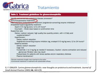 G. F. GRAUER. Canine glomerulonephritis: new thoughts on proteinuria and treatment. Journal of
Small Animal Practice (2005) 46, 469-478
Tratamiento
 