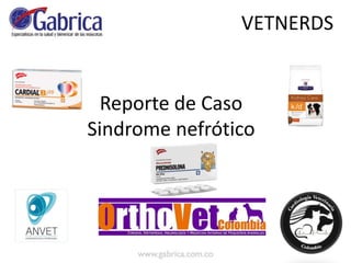 VETNERDS
Reporte de Caso
Sindrome nefrótico
 
