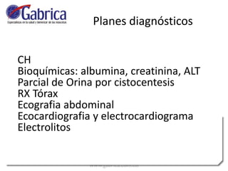 CH
Bioquímicas: albumina, creatinina, ALT
Parcial de Orina por cistocentesis
RX Tórax
Ecografia abdominal
Ecocardiografia y electrocardiograma
Electrolitos
Planes diagnósticos
 