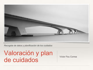 Recogida de datos y planificación de los cuidados
Valoración y plan
de cuidados
Víctor Feu Correa
 