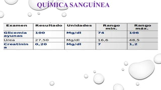 QUÍMICA SANGUÍNEA
 