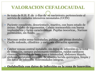 VALORACION CEFALOCAUDAL
 Se trata de H.H. P. de 2 días de su nacimiento perteneciente al
servicio de cuidados intensivos neonatales.(UCIN)
 Paciente consciente, desorientado, reactivo, con buen estado de
ánimo. Palidez de tegumentos. Cabeza normocefala con buena
implantación y facies características. Pupilas isocoricas,. Narinas
permeables, sin fluido.
 Mucosas orales sema-hidratadas, palidas, sin piezas dentales.
Cuello redondo, cilíndrico y corto, sin alteración aparente.
 Catéter venoso central instalado, sin datos de infección en la zona
de inserción, campos pulmonares ventilados, ruidos cardiacos
rítmicos, normales de buen tono e intensidad, abdomen blando,
globoso, peristalsis presente. Se observa herida quirúrgica, limpia y
sin datos de infección. Extremidades integras.
 Onfaloclisis con datos de infección en la zona de inserción.
 