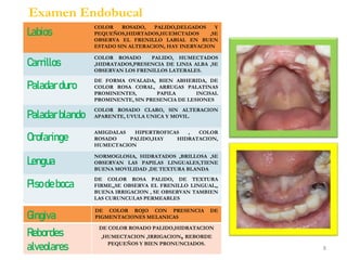 Examen Endobucal
Labios
COLOR ROSADO, PALIDO,DELGADOS Y
PEQUEÑOS,HIDRTADOS,HUEMCTADOS ,SE
OBSERVA EL FRENILLO LABIAL EN BUEN
ESTADO SIN ALTERACION, HAY INERVACION
Carrillos
COLOR ROSADO PALIDO, HUMECTADOS
,HIDRATADOS,PRESENCIA DE LINIA ALBA ,SE
OBSERVAN LOS FRENILLOS LATERALES.
Paladarduro
DE FORMA OVALADA, BIEN ABHERIDA, DE
COLOR ROSA CORAL, ARRUGAS PALATINAS
PROMINENTES, PAPILA INCISAL
PROMINENTE, SIN PRESENCIA DE LESIONES
Paladarblando
COLOR ROSADO CLARO, SIN ALTERACION
APARENTE, UVULA UNICA Y MOVIL.
Orofaringe
AMIGDALAS HIPERTROFICAS , COLOR
ROSADO PALIDO,HAY HIDRATACION,
HUMECTACION
Lengua
NORMOGLOSIA, HIDRATADOS ,BRILLOSA ,SE
OBSERVAN LAS PAPILAS LINGUALES,TIENE
BUENA MOVILIDAD ,DE TEXTURA BLANDA
Pisodeboca
DE COLOR ROSA PALIDO, DE TEXTURA
FIRME,,SE OBSERVA EL FRENILLO LINGUAL,,
BUENA IRRIGACION , SE OBSERVAN TAMBIEN
LAS CURUNCULAS PERMEABLES
Gingiva
DE COLOR ROJO CON PRESENCIA DE
PIGMENTACIONES MELANICAS
Rebordes
alveolares
DE COLOR ROSADO PALIDO,HIDRATACION
,HUMECTACION ,IRRIGACION, REBORDE
PEQUEÑOS Y BIEN PRONUNCIADOS.
8
 
