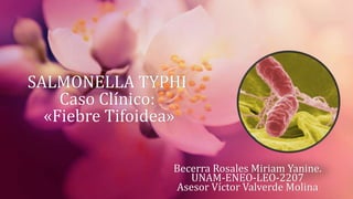 SALMONELLA TYPHI
    Caso Clínico:
  «Fiebre Tifoidea»

                 Becerra Rosales Miriam Yanine.
                    UNAM-ENEO-LEO-2207
                 Asesor Víctor Valverde Molina
 