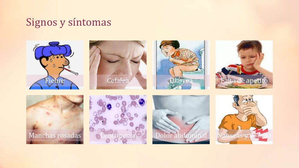 Salmonella Typhi (Caso clínico de fiebre tifoidea)