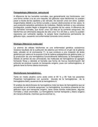 Fisiopatología (Alteracion estructural)
A diferencia de los hematíes normales, que generalmente son bicóncavos, con
una forma similar a la de una rosquilla, los glóbulos rojos falciformes no pueden
pasar a través de los capilares y las vénulas. Se asocian unos con otros, quedan
enganchados debido a su forma curvada y causan obstrucciones en los vasos, lo
que producirá episodios periódicos de molestias. Debido también a sus extremos
puntiagudos, pueden llegar a desgarrar las paredes de los vasos. A diferencia de
los hematíes normales, que duran unos 120 días en la corriente sanguínea, los
falciformes son eliminados después de sólo unos 10 o 20 días y, como no pueden
reponerse con suficiente rapidez, la sangre tiene insuficiencia permanente de
glóbulos rojos, causando una enfermedad conocida como anemia.
Etiología (Alteracion molecular)
La anemia de células falciformes es una enfermedad genética autosómica
recesiva resultado de la sustitución de adenina por timina en el gen de la globina
beta, ubicado en el cromosoma 11, lo que conduce a una mutación de ácido
glutámico por valina en la posición 6 de la cadena polipeptídica de globina beta y a
la producción de una hemoglobina funcionalmente defectuosa, la hemoglobina S.
Debido al cambio de ese aminoácido, las moléculas de hemoglobina se agregan
formando fibras y dándole al hematíe esa forma de hoz.La transformación del
eritrocito se produce cuando no transporta oxígeno, pues con oxihemoglobina, el
glóbulo tiene la forma clásica bicóncava.
Electroforesis hemoglobinica .
Tanto en medio alcalino como acido entre el 80 % y 90 %de los pacientes
Presentan hemoglobinas con aumento discreto de la hemoglobinas de la
hemoglobina fetal y ausencia de la hemoglobina A.
El análisis de electroforesis de hemoglobina mide los tipos de hemoglobina que se
encuentran en el torrente sanguíneo. La hemoglobina, la proteína presente en los
glóbulos rojos que transporta oxígeno, tiene varias formas moleculares, algunas
normales y otras anormales. La hemoglobina normal transporta y libera oxígeno
de manera eficiente, mientras que la anormal no.
 