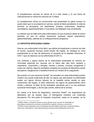 11
2) toxoplasmosis nerviosa en perros de 4 ó más meses y 3) una forma de
radiculoneuritis en cachorros menores de 3 meses.
La toxoplasmosis clínica es comúnmente mas presentada en gatos aunque no
quiere decir que no se presente en caninos, siendo la fiebre persistente, la ictericia
terminal, la leucopenia, los desórdenes oculares, pulmonares, hepáticos,
neurológicos, gastrointestinales y musculares, los hallazgos más consistentes.
La relación que se halla entre esta enfermedad y la que al parecer afecta al canino
paciente, es que en ambas situaciones aparecen signos respiratorios,
gastrointestinales, además de un enflaquecimiento progresivo.
3.3 HEPATITIS INFECCIOSA CANINA
Esta es una enfermedad vírica febril, que afecta principalmente a caninos de todo
el mundo, causando necrosis centro lobular del hígado. Su etiología es vírica
exactamente es un tipo de adenovirus el causante de la hepatitis infecciosa: el
CAV‐1 (que se relaciona con la enfermedad el CAV 2).
Los síntomas y signos típicos de la enfermedad presentada en caninos sin
inmunidad adquirida por vacunas son la fiebre alta, alto ritmo cardiaco y
respiratorio, conjuntivitis y faringitis, vómitos y diarrea, mucosas congestivas a
veces con ictericia. Algunos resultados arrojados por pruebas de laboratorio serían
leucopenia, hipoglucemia e hipoalbuminemia con retraso de la coagulación.
De acuerdo a lo que menciona Varela5
, los animales con esta enfermedad pueden
mostrar muy pocas evidencias de ella, los signos que demuestran la enfermedad
suelen ser signos clínicos básicos de la hepatitis donde resulta un gran
compromiso del hígado, el dolor abdominal, los signos de gastroenteritis como
vómito y diarreas, el daño de los endotelios vasculares que a su vez producen
sucesivas hemorragias, y de los ojos (uveítis, edema de la cornea).
En cuanto a la forma de diagnóstico, menciona Hutter6
, los diagnósticos de
laboratorio son de escaso valor, el hemograma mostrará una moderada
leucopenia. Por otra parte el hisopado conjuntival, usado en el pasado, se ha
5
VARELA, Matías. La hepatitis infecciosa canina. Revista canina. Sumario 34. Disponible en:
http://www.revistacanina.com/notas_revista/397/la_hepatitis_infecciosa_canina.html
6
HUTTER, Ernesto. Moquillo canino. Enciclopedia de enfermedades infecciosas. EasyCode Software
Veterinario. Disponible en: http://danielantioquia.info/easycode-vet/Moquillo-Canino.htm
 