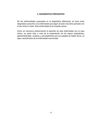 13
4. DIAGNÓSTICO PRESUNTIVO
De las enfermedades propuestas en el diagnóstico diferencial, se toma como
diagnóstico presuntivo a la enfermedad que según el autor mas tiene parecido con
el cao clínico a tratar. Ésta enfermedad es el moquillo canino.
Como se menciona anteriormente el parecido de esta enfermedad con el caso
clínico, es sobre todo a nivel de la presentación de los signos respiratorios,
gastrointestinales, oculares, y principalmente que sus pulpejos se hallan duros, un
signo característico de la enfermedad mencionada.
 