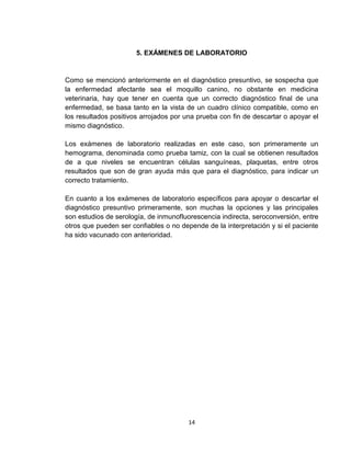 14
5. EXÁMENES DE LABORATORIO
Como se mencionó anteriormente en el diagnóstico presuntivo, se sospecha que
la enfermedad afectante sea el moquillo canino, no obstante en medicina
veterinaria, hay que tener en cuenta que un correcto diagnóstico final de una
enfermedad, se basa tanto en la vista de un cuadro clínico compatible, como en
los resultados positivos arrojados por una prueba con fin de descartar o apoyar el
mismo diagnóstico.
Los exámenes de laboratorio realizadas en este caso, son primeramente un
hemograma, denominada como prueba tamiz, con la cual se obtienen resultados
de a que niveles se encuentran células sanguíneas, plaquetas, entre otros
resultados que son de gran ayuda más que para el diagnóstico, para indicar un
correcto tratamiento.
En cuanto a los exámenes de laboratorio específicos para apoyar o descartar el
diagnóstico presuntivo primeramente, son muchas la opciones y las principales
son estudios de serología, de inmunofluorescencia indirecta, seroconversión, entre
otros que pueden ser confiables o no depende de la interpretación y si el paciente
ha sido vacunado con anterioridad.
 