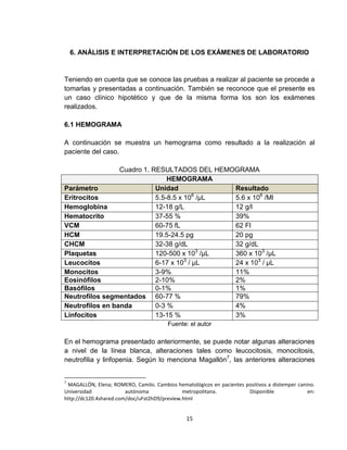 15
6. ANÁLISIS E INTERPRETACIÓN DE LOS EXÁMENES DE LABORATORIO
Teniendo en cuenta que se conoce las pruebas a realizar al paciente se procede a
tomarlas y presentadas a continuación. También se reconoce que el presente es
un caso clínico hipotético y que de la misma forma los son los exámenes
realizados.
6.1 HEMOGRAMA
A continuación se muestra un hemograma como resultado a la realización al
paciente del caso.
Cuadro 1. RESULTADOS DEL HEMOGRAMA
HEMOGRAMA
Parámetro Unidad Resultado
Eritrocitos 5.5-8.5 x 106
/μL 5.6 x 106
/Μl
Hemoglobina 12-18 g/L 12 g/l
Hematocrito 37-55 % 39%
VCM 60-75 fL 62 Fl
HCM 19.5-24.5 pg 20 pg
CHCM 32-38 g/dL 32 g/dL
Plaquetas 120-500 x 103
/μL 360 x 103
/μL
Leucocitos 6-17 x 103
/ μL 24 x 103
/ μL
Monocitos 3-9% 11%
Eosinófilos 2-10% 2%
Basófilos 0-1% 1%
Neutrofilos segmentados 60-77 % 79%
Neutrofilos en banda 0-3 % 4%
Linfocitos 13-15 % 3%
Fuente: el autor
En el hemograma presentado anteriormente, se puede notar algunas alteraciones
a nivel de la línea blanca, alteraciones tales como leucocitosis, monocitosis,
neutrofilia y linfopenia. Según lo menciona Magallón7
, las anteriores alteraciones
7
MAGALLÓN, Elena; ROMERO, Camilo. Cambios hematológicos en pacientes positivos a distemper canino.
Universidad autónoma metropolitana. Disponible en:
http://dc120.4shared.com/doc/uFst2hD9/preview.html
 