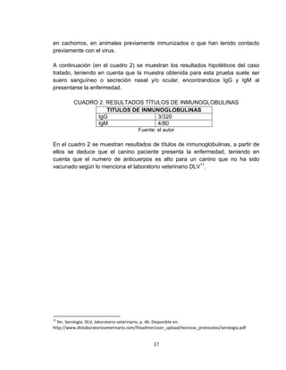 17
en cachorros, en animales previamente inmunizados o que han tenido contacto
previamente con el virus.
A continuación (en el cuadro 2) se muestran los resultados hipotéticos del caso
tratado, teniendo en cuenta que la muestra obtenida para esta prueba suele ser
suero sanguíneo o secreción nasal y/o ocular, encontrandoce IgG y IgM al
presentarse la enfermedad.
CUADRO 2. RESULTADOS TÍTULOS DE INMUNOGLOBULINAS
TITULOS DE INMUNOGLOBULINAS
IgG 3/320
IgM 4/80
Fuente: el autor
En el cuadro 2 se muestran resultados de títulos de inmunoglobulinas, a partir de
ellos se deduce que el canino paciente presenta la enfermedad, teniendo en
cuenta que el numero de anticuerpos es alto para un canino que no ha sido
vacunado según lo menciona el laboratorio veterinario DLV11
.
11
Nn. Serología. DLV, laboratorio veterinario. p. 46. Disponible en:
http://www.dlvlaboratorioveterinario.com/fileadmin/user_upload/tecnicas_protocolos/serologia.pdf
 
