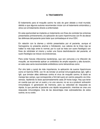 19
8. TRATAMIENTO
El tratamiento para el moquillo canino ha sido de gran debate a nivel mundial,
debido a que algunos autores recomiendan iniciar con el tratamiento sintomático y
otros con el tratamiento directo a enfermedad.
En esta oportunidad se implanta un tratamiento con fines de controlar los síntomas
presentados primeramente y la aplicación de suero hiperinmunes con fin de elevar
las defensas del paciente para tratar que contraataque el virus CDV.
En relación con la diarrea y vómito presentados por el paciente, aunque el
hemograma no presenta anemia o hidratación, sus valores de la línea roja se
hallan lo más bajo entre lo normal, por lo cual se trata con suero fisiológico con
fines de rehidratar el mismo y evitar una futura deshidratación del paciente, el
suero fisiológico se induce vía endovenosa.
Para evitar futuras infecciones bacterianas, que son comunes a la infección de
moquillo, se recomienda aplicar un antibiótico de amplio espectro y alta duración,
en este caso sería recomendable antibióticos como tetraciclinas como
Por otro lado y quizá de más importancia, la aplicación de sueros hiperinmune
como el Gamma HHD, con fin de brindar al animal inmunoglobulinas IgG, IgM e
IgA, que brindan altas defensas contra el virus de moquillo canino; la dosis se
maneja tipo campo, que corresponde a 5ml del suero en canino pequeño via intra-
venosa, repitiendo la dosis aproximadamente cada 24 horas luego. Hay que tener
en cuenta que por ser un suero y no una vacuna, no se va a producir activación
inmunológica ni generación de memoria, pero su velocidad de respuesta es
rápida, lo que permite al paciente una rápida recuperación, mientras se crea una
respuesta inmunológica. Una de las desventajas mas sobresalientes de estos
sueros, es su costo.
 