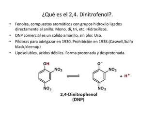 ¿Qué es el 2,4. Dinitrofenol?.
• Fenoles, compuestos aromáticos con grupos hidroxilo ligados
directamente al anillo. Mono, di, tri, etc. Hidroxílicos.
• DNP comercial es un sólido amarillo, sin olor. Uso.
• Píldoras para adelgazar en 1930. Prohibición en 1938.(Caswell,Sulfo
black,kleenup)
• Liposolubles, ácidos débiles. Forma protonada y desprotonada.
 