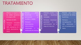 TRATAMIENTOINDUCCIÓN
Eliminar la mayoría de
las células leucémicas
en sangre y MO
Remisión 65-85%
Fármacos: Vincristina
(3-4sem), prednisona
(QD), asparginasa (6-12
dosis), doxorubicina (3
dosis)
PROFILAXISDELSNC
Eliminar células
leucémicas que
permanecen en
encéfalo y médula.
Fármacos:
dexametasona,
hidrocortisona,
metotrexato o el
arabinosido de citosina.
INTENSIFICACIÓN
Pretende erradicar las
células leucémicas
residuales.
Fármacos: metotrexato
parenteral o la
administración de la
etapa de inducción.
MANTENIMIENTO
Previene una nueva
proliferación de células
leucémicas.
Fármacos: 6-
mercaptopurina VO
(QD), metotrexato (1
vez a la semana) por 2-
3años.
 
