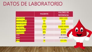 DATOS DE LABORATORIO
PACIENTE
VALORES DE
REFERENCIA
LEUCOCITOS 50000 4000-11000
HEMOGLOBINA 7.9 12-16
HEMATOCRITO 24% 37-47
PLAQUETAS 15,000 150000-400000
NEUTROFILOS 20% 40-60%
LINFOCITOS 80% 20-40%
VCM 87 80-95FL
HCM 29 28-32/100ML
RDW 14 11.5-15%
 