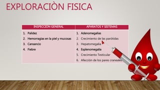 EXPLORACIÒN FISICA
INSPECCIÒN GENERAL APARATOS Y SISTEMAS
1. Palidez
2. Hemorragias en la piel y mucosas
3. Cansancio
4. Fiebre
1. Adenomegalias
2. Crecimiento de las parótidas
3. Hepatomegalia
4. Esplenomegalia
5. Crecimiento Testicular
6. Afección de los pares craneales
 