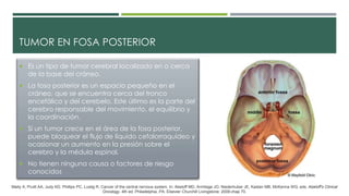 TUMOR EN FOSA POSTERIOR
 Es un tipo de tumor cerebral localizado en o cerca
de la base del cráneo.
 La fosa posterior es un espacio pequeño en el
cráneo, que se encuentra cerca del tronco
encefálico y del cerebelo. Este último es la parte del
cerebro responsable del movimiento, el equilibrio y
la coordinación.
 Si un tumor crece en el área de la fosa posterior,
puede bloquear el flujo de líquido cefalorraquídeo y
ocasionar un aumento en la presión sobre el
cerebro y la médula espinal.
 No tienen ninguna causa o factores de riesgo
conocidos
Maity A, Pruitt AA, Judy KD, Phillips PC, Lustig R. Cancer of the central nervous system. In: Abeloff MD, Armitage JO, Niederhuber JE, Kastan MB, McKenna WG, eds. Abeloff's Clinical
Oncology. 4th ed. Philadelphia, PA: Elsevier Churchill Livingstone; 2008:chap 70.
 
