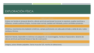 EXPLORACIÓN FÍSICA
CABEZA Y CUELLO
Cráneo con herida en temporal derecho, válvula ventrículo peritoneal funcional sin exostosis, pupilas isocóricas y
reflexicas, canales auditivos limpios, mucosa nasal normal, cavidad oral hidratada, pulsos carotideos presentes.
TÓRAX
Cilíndrica, movimientos de amplexión simétricos, campos pulmonares con adecuada entrada y salida de aire, ruidos
cardiacos rítmicos.
ABDOMEN
Abdomen blando, depresible no doloroso a la palpación, sin viceromegalias, herida en hipocondrio derecho de
válvula ventrículo peritoneal limpia en fase de cicatrización.
EXTREMIDADES
Integras, pulsos distales palpables, fuerza muscular 5/5, marcha sin alteraciones.
 